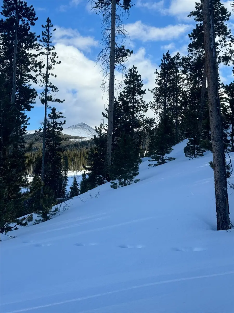 518 Golden Age Drive, Breckenridge, CO 80424 - #2