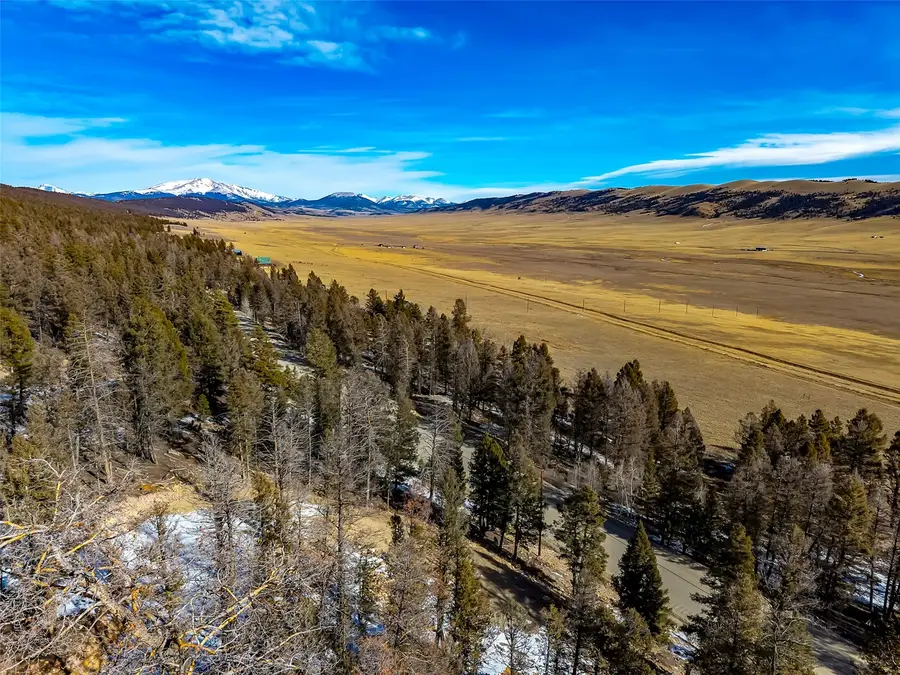 1423 Redhill Road, Fairplay, CO 80440 - #2