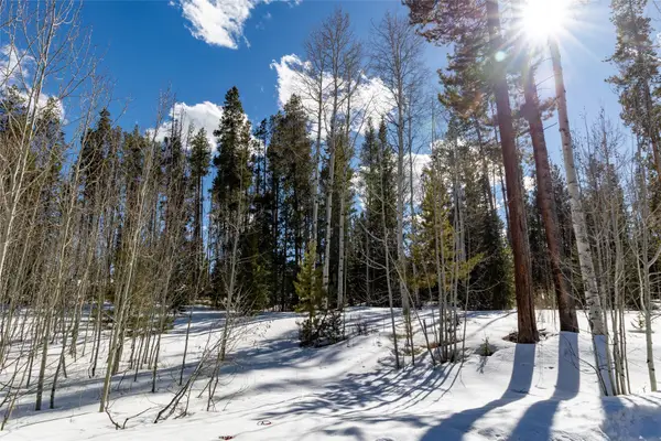 20905 Clydesdale Way, Oak Creek, CO 80467