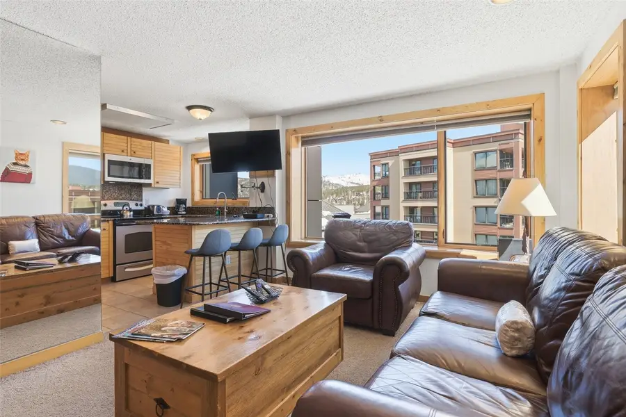 535 S Park Avenue #505, Breckenridge, CO 80424 - #3