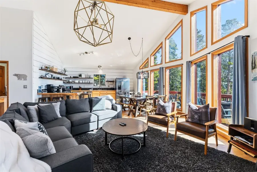 1417 Bobcat Lane, Fairplay, CO 80440 - #3