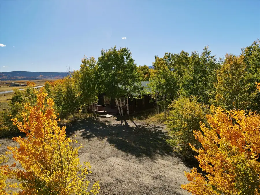 318 Foxtail Lane, Fairplay, CO 80440 - #2