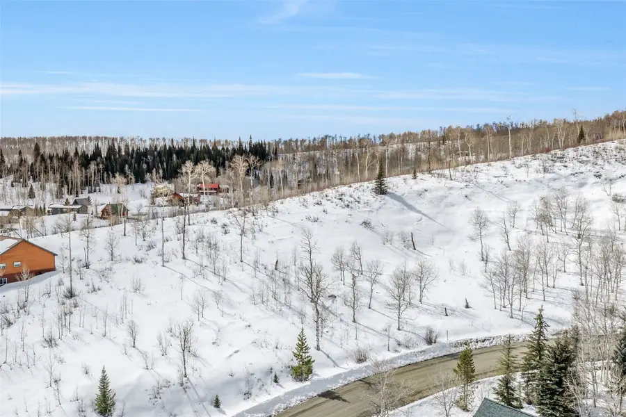 57615 Longfellow Way, Clark, CO 80428 - #2