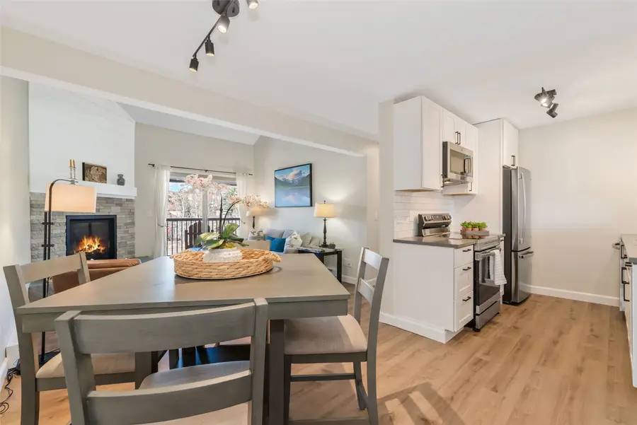 1565 Shadow Run Frontage #302, Steamboat Springs, CO 80487 - #3