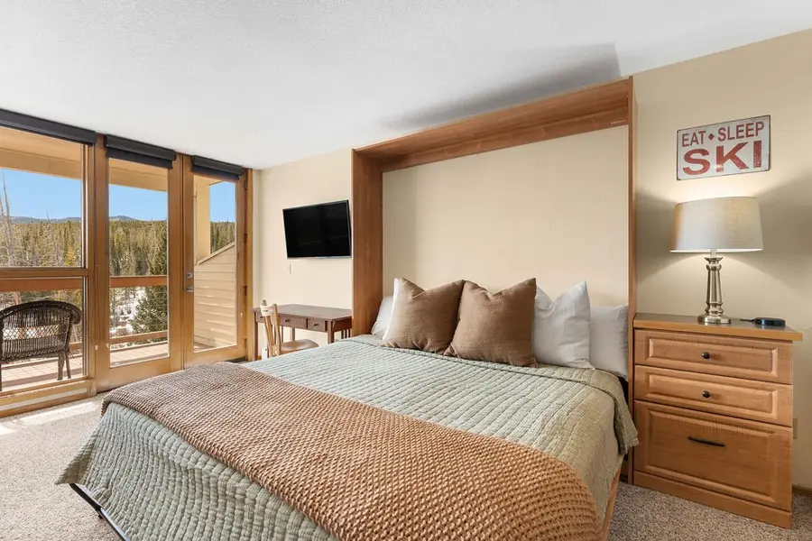 95200 Ryan Gulch Road #95213, Silverthorne, CO 80498 - #3