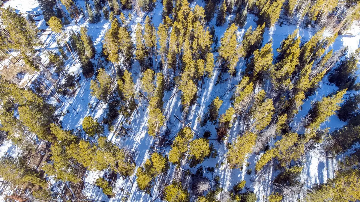 33548 Seneca Trail, Oak Creek, CO 80467 - #1