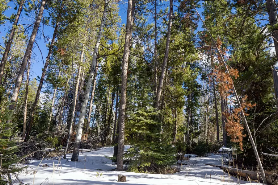 33548 Seneca Trail, Oak Creek, CO 80467 - #2