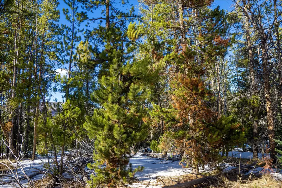 33548 Seneca Trail, Oak Creek, CO 80467 - #3