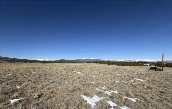 773 Hayhook Way, Hartsel, CO 80449