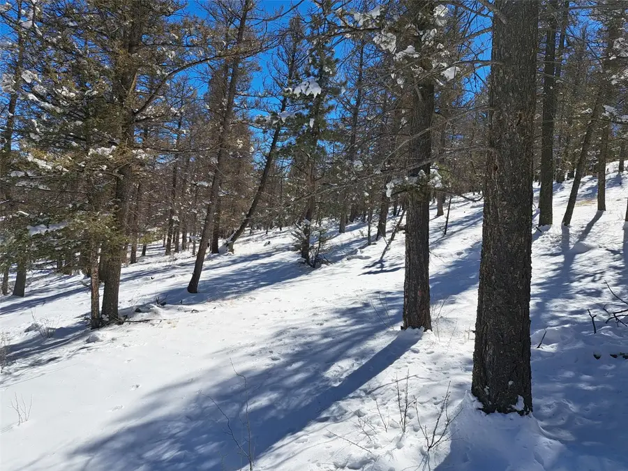 00 Redhill Road, Fairplay, CO 80440 - #3