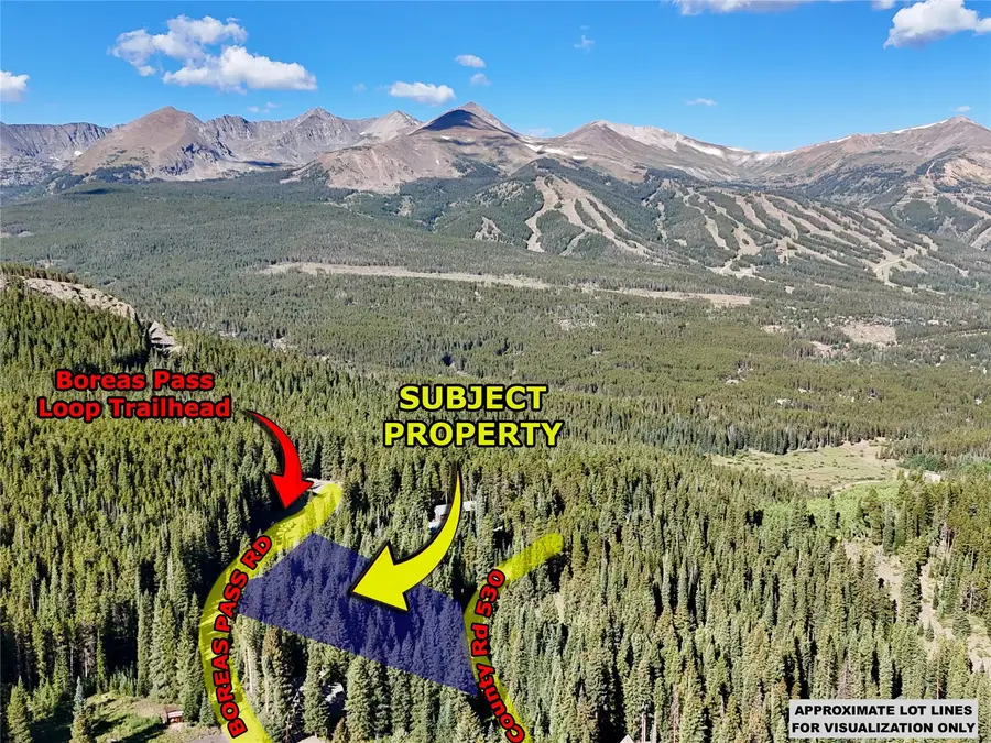 3362 Boreas Pass Road, Breckenridge, CO 80424 - #3