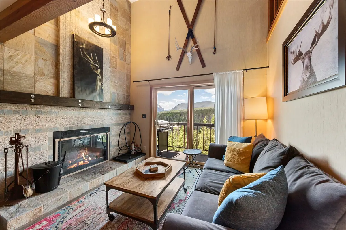 9490 Ryan Gulch Road #94202, Silverthorne, CO 80498 - #1