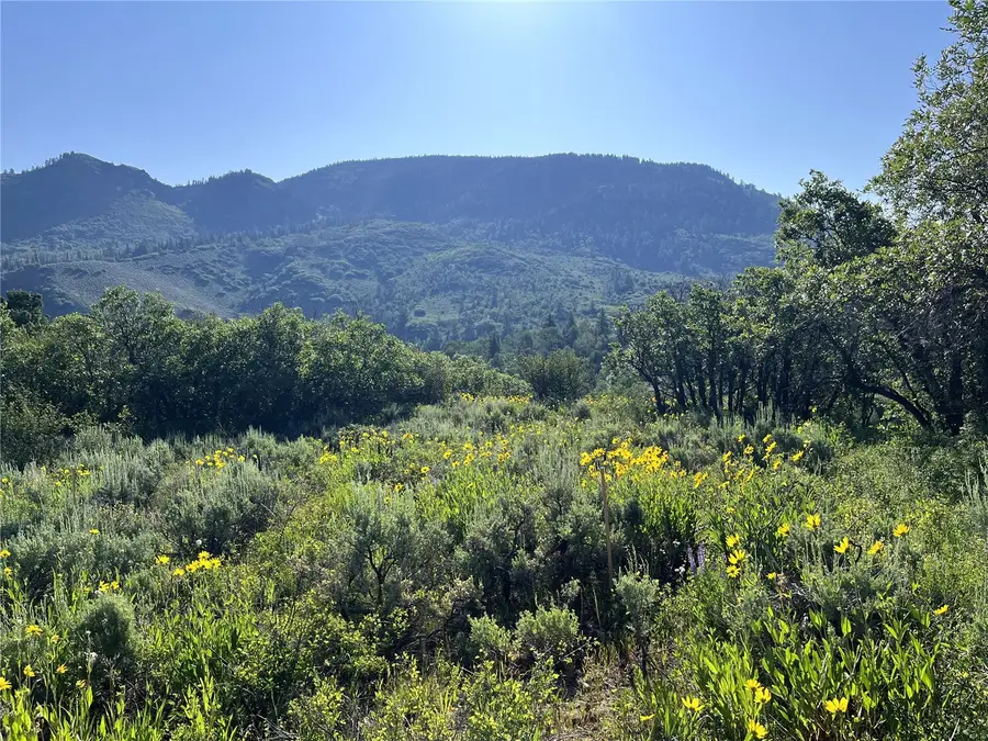 31175 Broken Talon Trail, Oak Creek, CO 80467 - #2