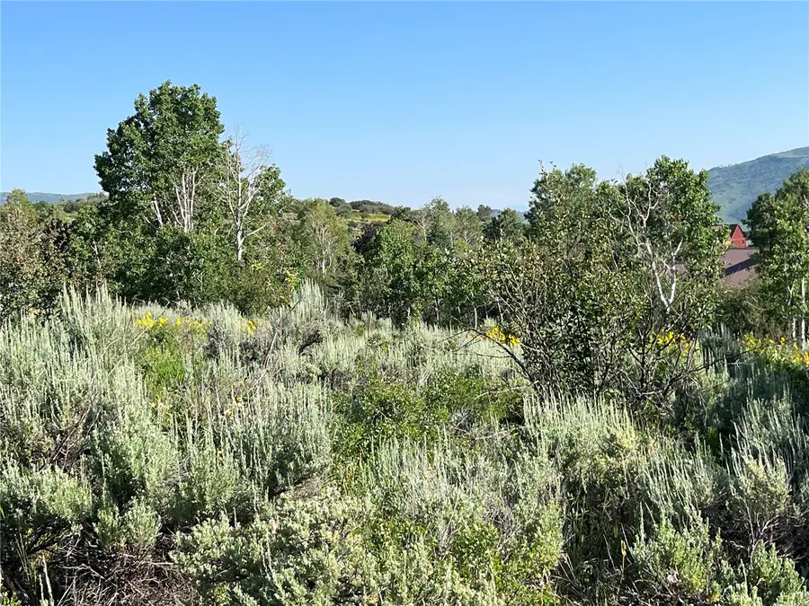 31175 Broken Talon Trail, Oak Creek, CO 80467 - #3