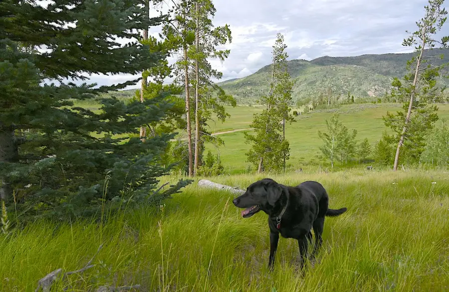 33170 Wenatchi Trail, Oak Creek, CO 80467 - #2