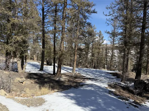 806 Middle Fork, Fairplay, CO 80440