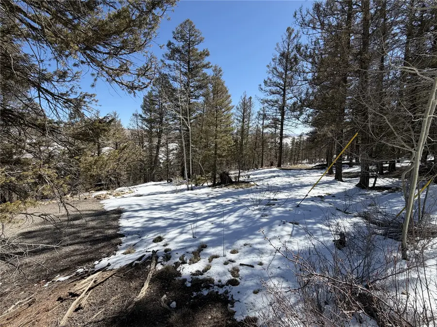 806 Middle Fork, Fairplay, CO 80440 - #3