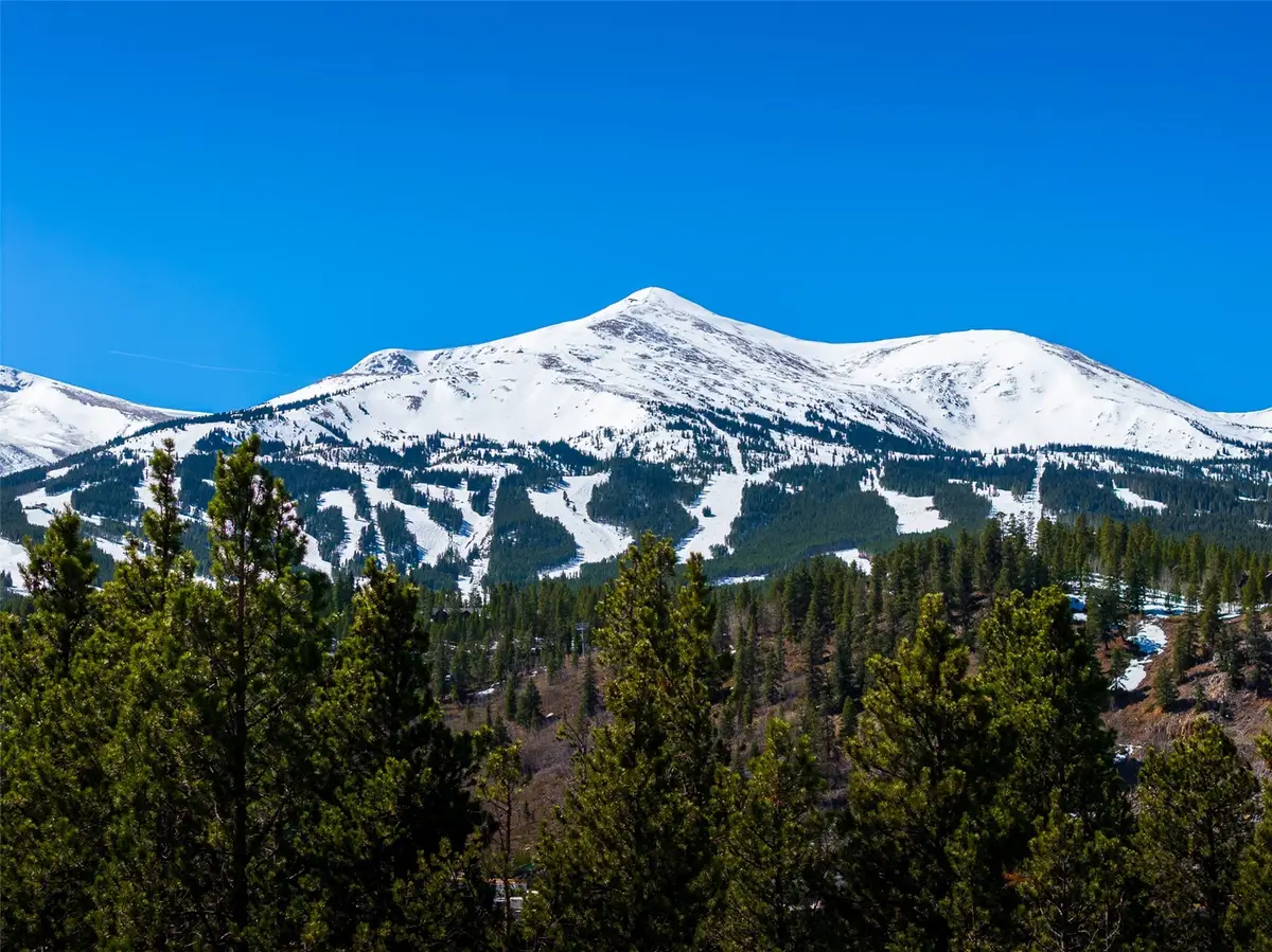 309 Royal Tiger Road, Breckenridge, CO 80424 - #1