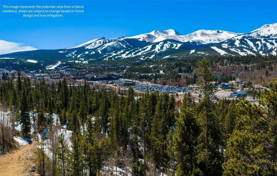 309 Royal Tiger Road, Breckenridge, CO 80424 - #3