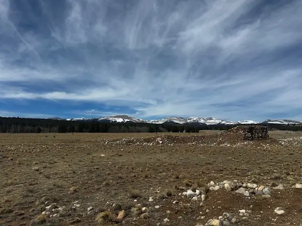 TBD Stone Creek, Fairplay, CO 80440