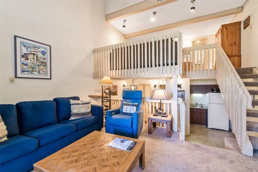 1920 Ski Time Square Drive #106, Steamboat Springs, CO 80487 - #2
