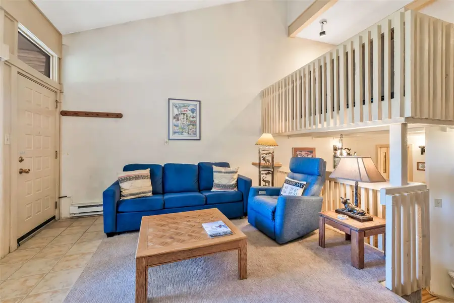 1920 Ski Time Square Drive #106, Steamboat Springs, CO 80487 - #3