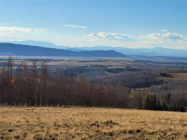 918 Little Baldy Circle, Fairplay, CO 80440