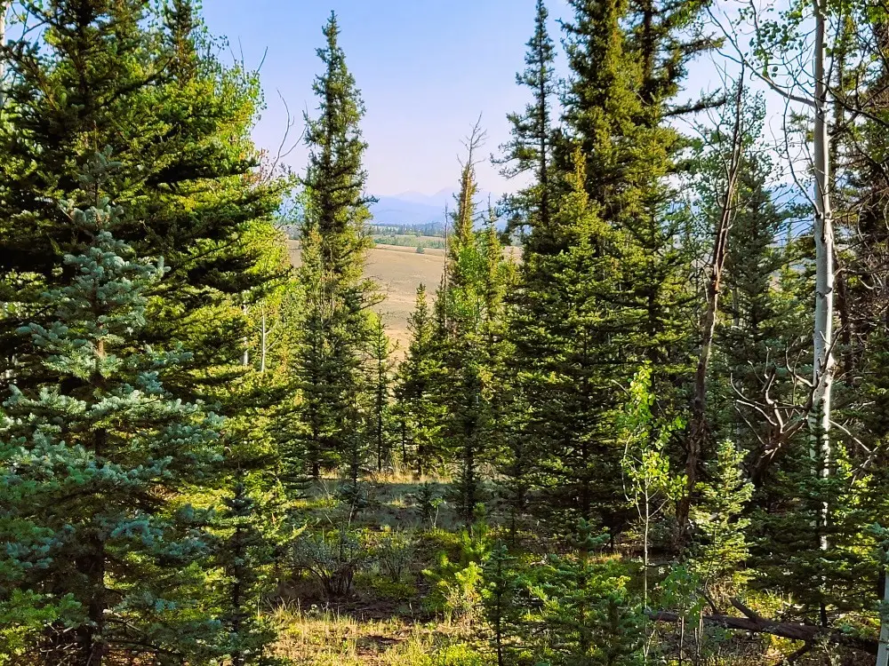 1148 Haida Road, Fairplay, CO 80456 - #1