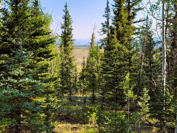 1148 Haida Road, Fairplay, CO 80456