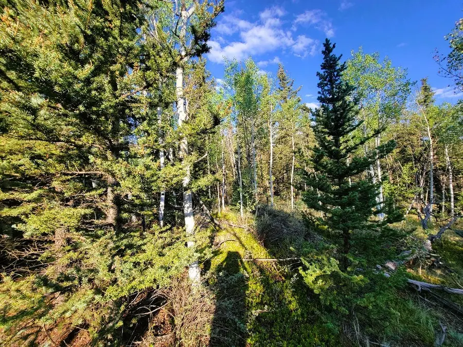 1148 Haida Road, Fairplay, CO 80456 - #2