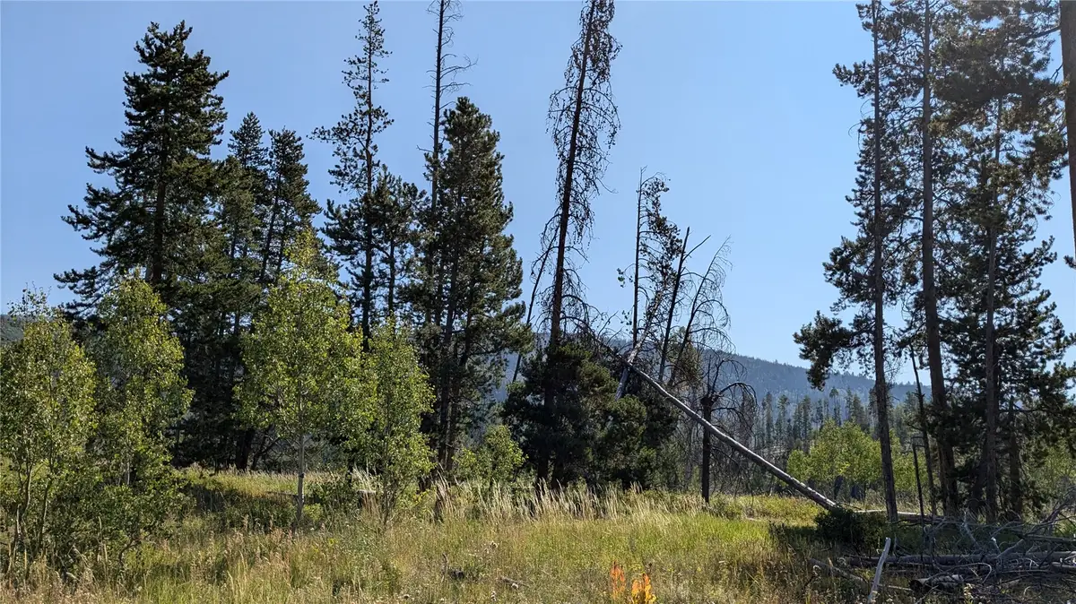 000 Halter Trail, Oak Creek, CO 80467 - #1