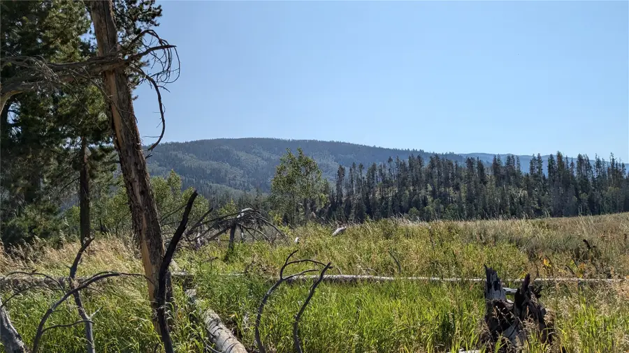 000 Halter Trail, Oak Creek, CO 80467 - #2