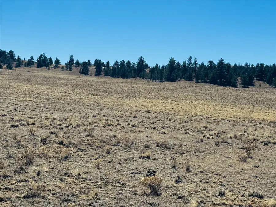 3067 Fitzsimmons Road, Hartsel, CO 80449 - #3