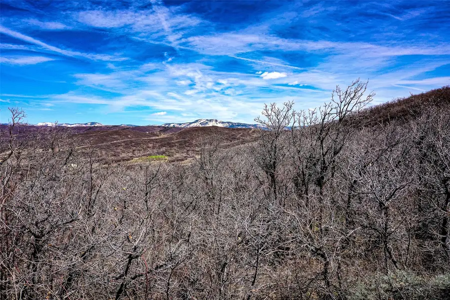 25270 Bella Vista Circle, Steamboat Springs, CO 80477 - #3