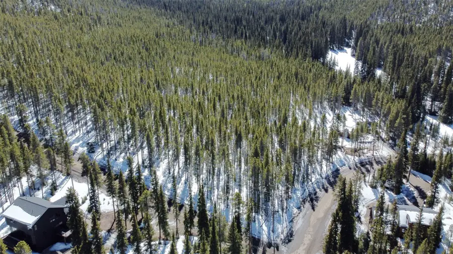 0118 Cr 535, Breckenridge, CO 80424 - #2