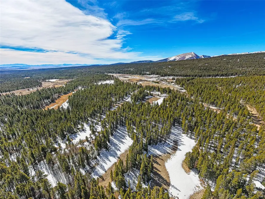 122 Arts Pike, Fairplay, CO 80440 - #3