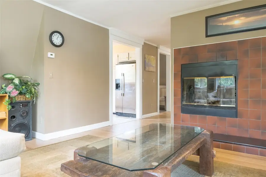 291 Doris Drive, Breckenridge, CO 80424 - #3