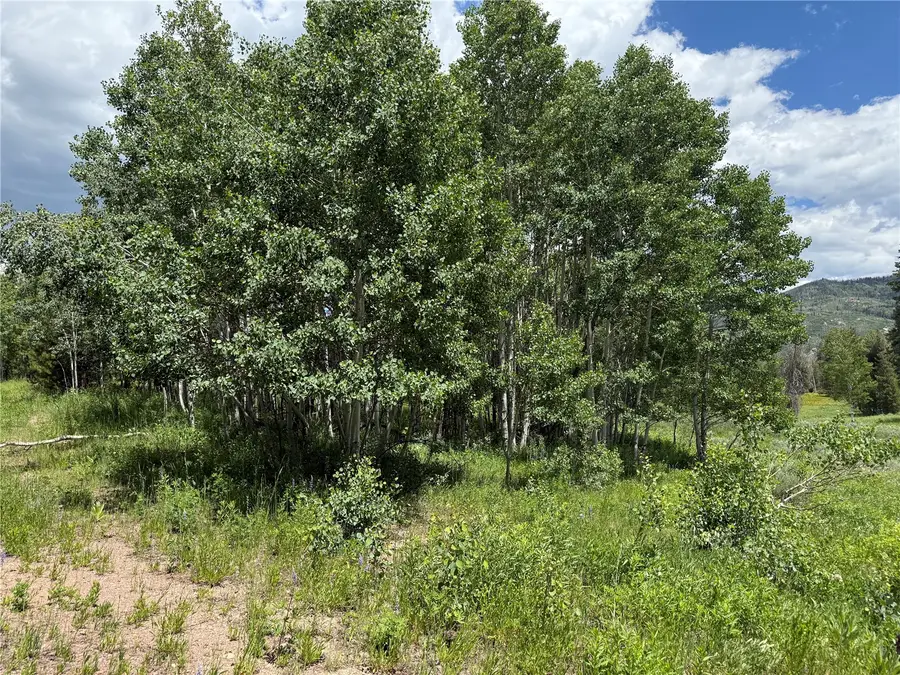 21405 Hopi Way, Oak Creek, CO 80467 - #2