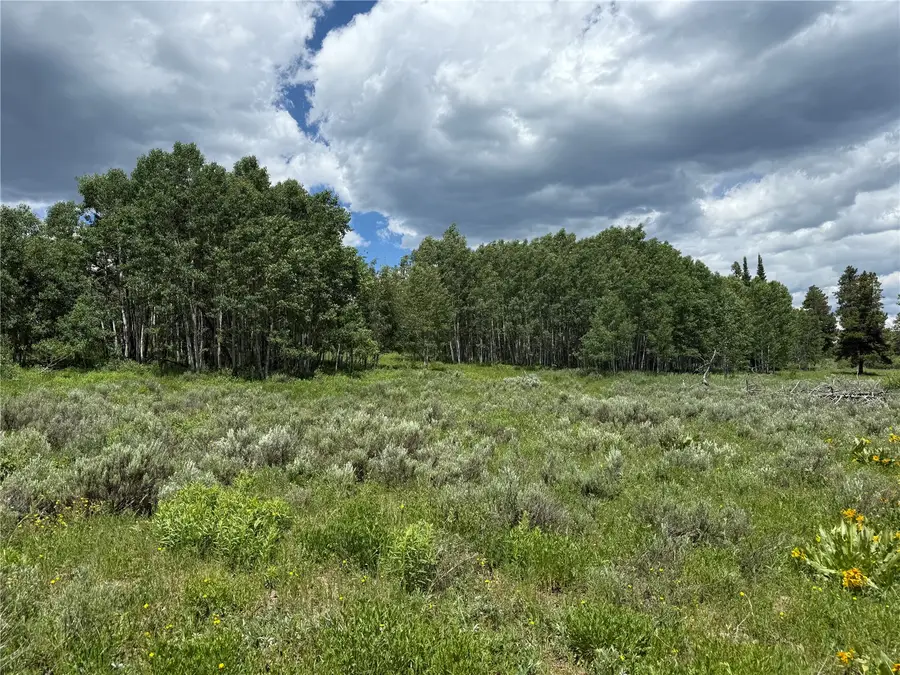 21405 Hopi Way, Oak Creek, CO 80467 - #3