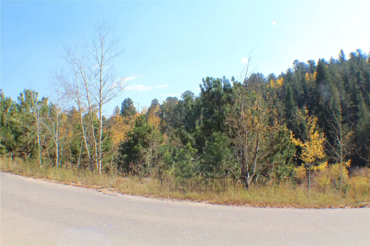 2012 Shelton Drive, Bailey, CO 80421 - #1