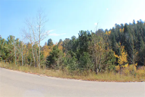 2012 Shelton Drive, Bailey, CO 80421