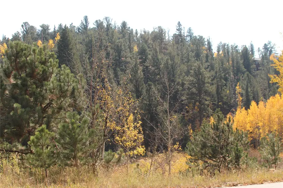 2012 Shelton Drive, Bailey, CO 80421 - #2