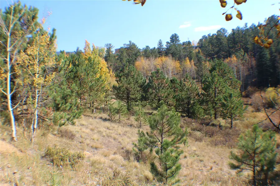 2012 Shelton Drive, Bailey, CO 80421 - #3