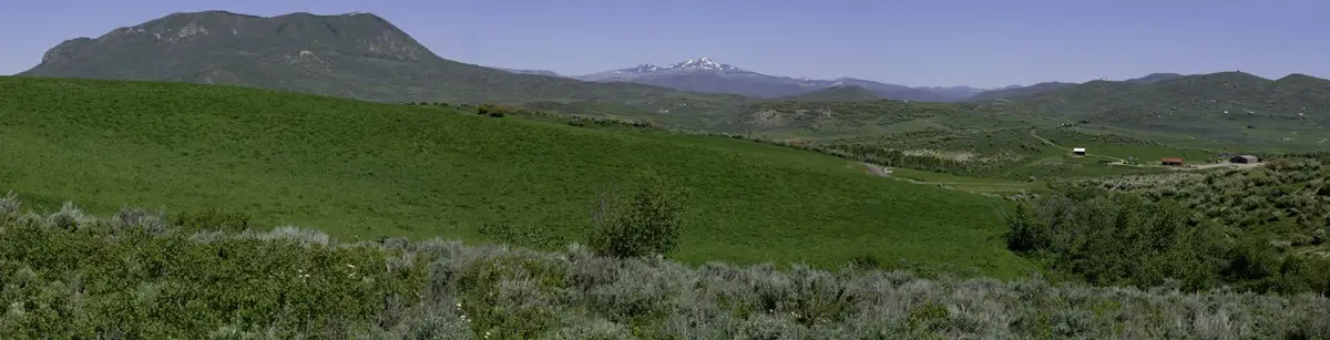 41855 Marabou Loop, Steamboat Springs, CO 80487 - #1