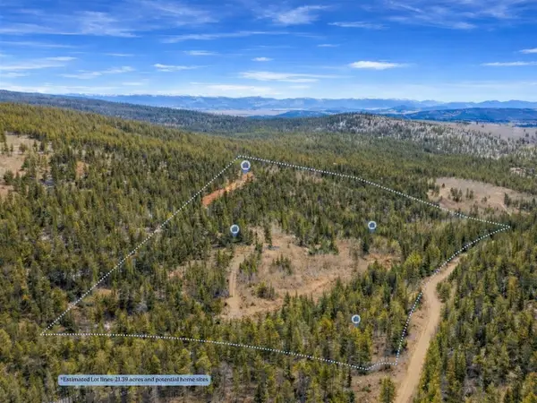 000 Beaver Creek Road, Alma, CO 80420