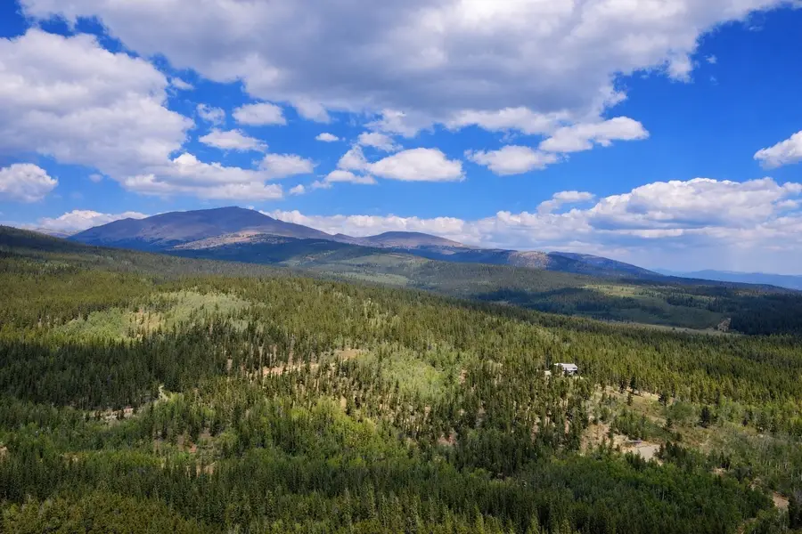 000 Beaver Creek Road, Alma, CO 80420 - #2