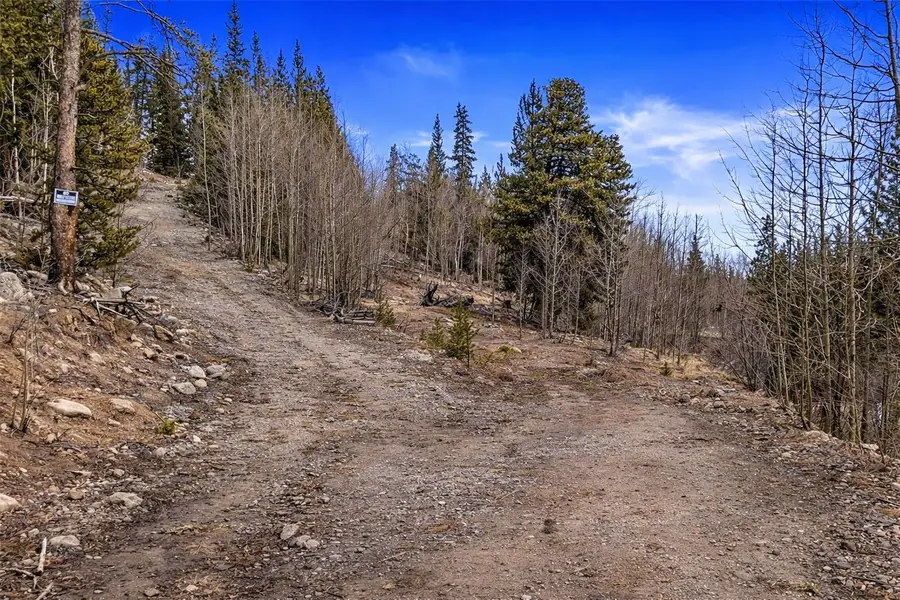 000 Beaver Creek Road, Alma, CO 80420 - #3