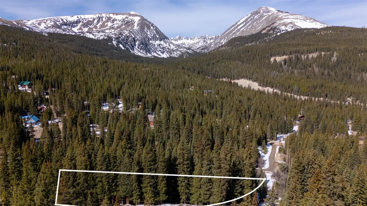 697 Cr 674, Breckenridge, CO 80424 - #1