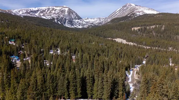 707 Cr 674, Breckenridge, CO 80424
