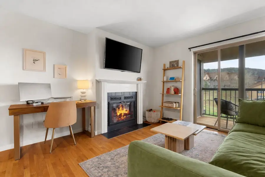 1555 Shadow Run Court #309, Steamboat Springs, CO 80487 - #3